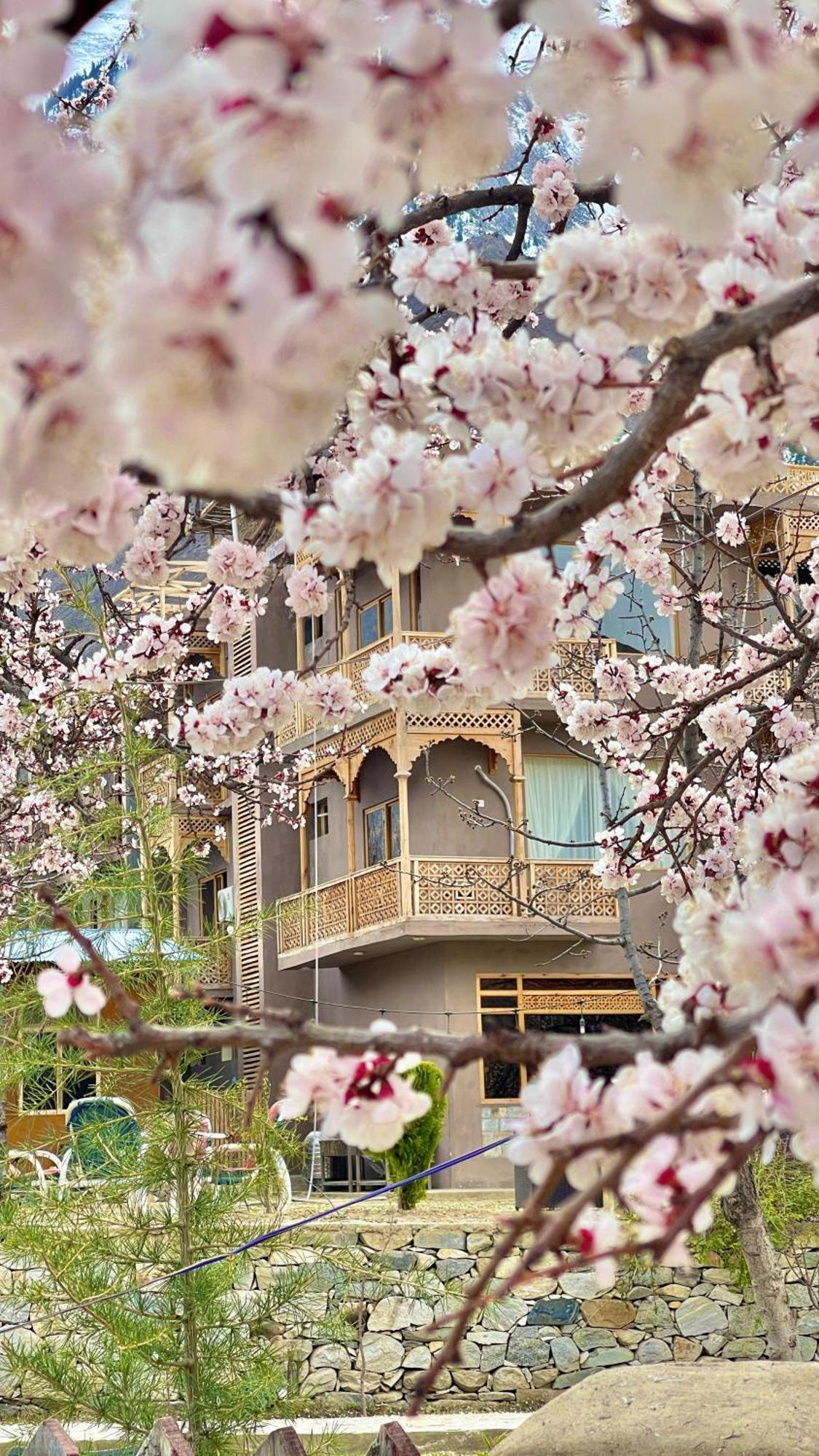 Dumani Nagar Hotel & Resort Karimabad  Exterior photo